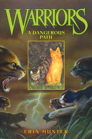 Tome 5 : A Dangerous Path