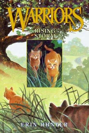 Tome 4 : Rising Storm